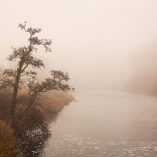 Image of Silent Morning by Noel Fenech Photography